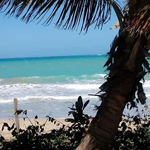 https://ivbb-beach-studio.top-hotels-puertorico.com